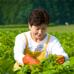 中山真由美さん