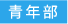青年