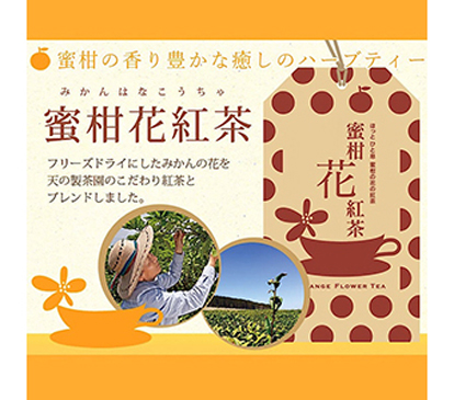 みかんの花の紅茶「蜜柑花紅茶」フリーズドライ【ティーバック６包入り】