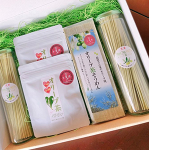 オリーブ商品詰め合わせセット